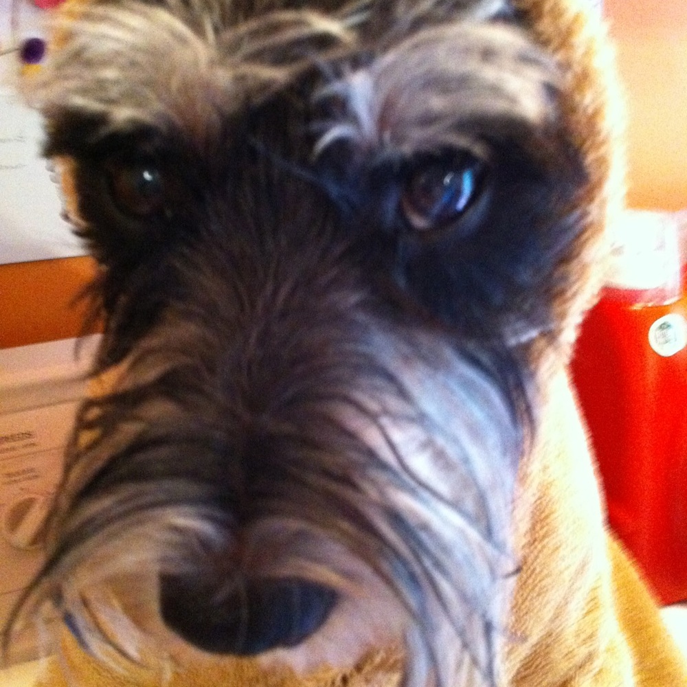 Meet your Posher, Mina